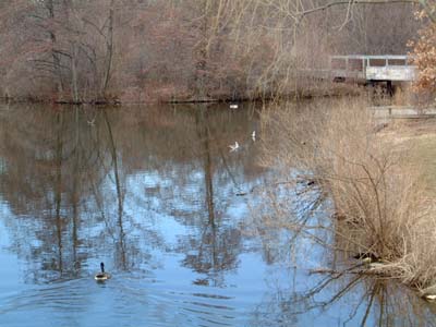 Gallup Park - Ann Arbor, MI
