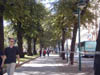 along Pohjoiseplanadi