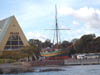 nzb9