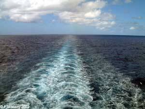 the wake