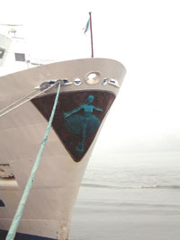 The Bow of Black Prince