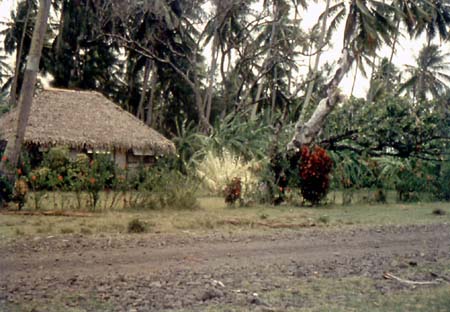 Countryside View
