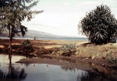 Nearing the Beach